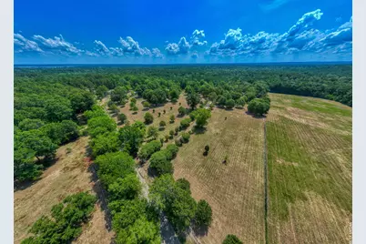1630 County Road 219, Brookeland, TX 75931 - Photo 7
