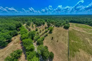 1630 Co Rd 219, Brookeland, TX 75931 - Photo 7