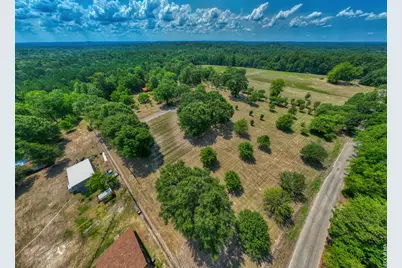 1630 County Road 219, Brookeland, TX 75931 - Photo 3
