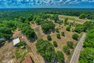 1630 Co Rd 219, Brookeland, TX 75931 - Photo 3