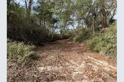 1399 Star Hill Road, New Ulm, TX 78950 - Photo 33