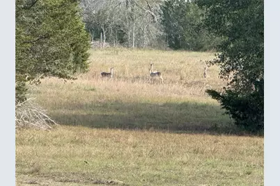 1399 Star Hill Road, New Ulm, TX 78950 - Photo 35