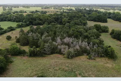 1399 Star Hill Road, New Ulm, TX 78950 - Photo 13