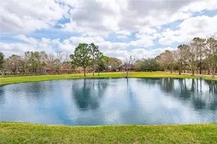 506 W Viejo Dr, Friendswood, TX 77546 - Photo 43