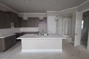 11406 Lucky Fls Dr, Houston, TX 77047 - Photo 3