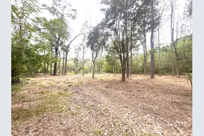 00 Redbud, Conroe, TX 77302 - Photo 3