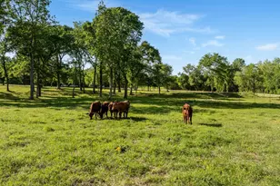 2355 Jackson League Cir, Brenham, TX 77833 - Photo 27