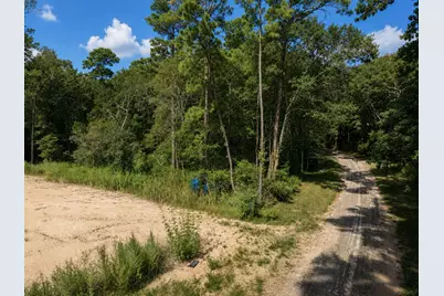 16383 Largent Drive, Plantersville, TX 77363 - Photo 3