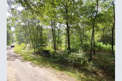 16383 Largent Drive, Plantersville, TX 77363 - Photo 5