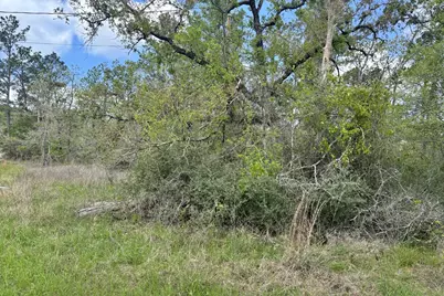 251 William Thomas Road, Huntsville, TX 77320 - Photo 3