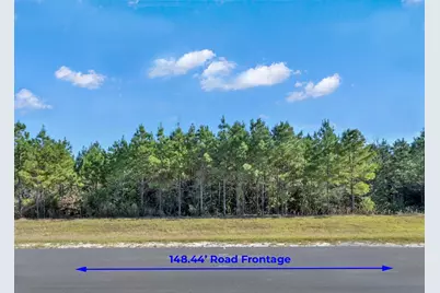 12007 High Branch Way, Willis, TX 77378 - Photo 3