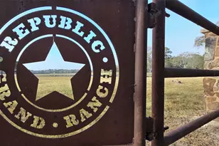 12007 High Br Wy, Willis, TX 77378 - Photo 5