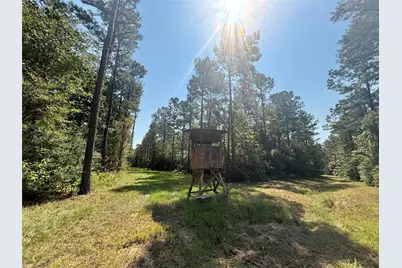 4300 Fm 256 N, Woodville, TX 75979 - Photo 29