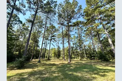 4300 Fm 256 N, Woodville, TX 75979 - Photo 13