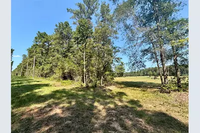 4300 Fm 256 N, Woodville, TX 75979 - Photo 31