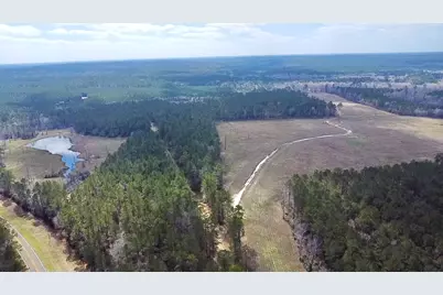 4300 Fm 256 N, Woodville, TX 75979 - Photo 1