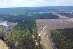 4300 Fm 256 N, Woodville, TX 75979 - Photo 1