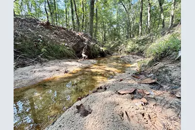 4300 Fm 256 N, Woodville, TX 75979 - Photo 15