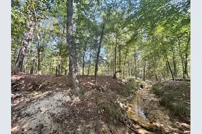 4300 Fm 256 N, Woodville, TX 75979 - Photo 17