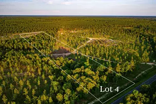 Tbd Lot 4 Fm 1276, Livingston, TX 77351 - Photo 1