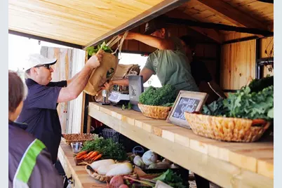 418 Apple Core Way, Missouri City, TX 77459 - Photo 19