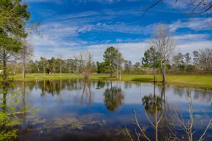 10210 Stidham Rd, Conroe, TX 77302 - Photo 43