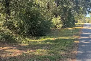 9184 Oak Arbor Divide, Conroe, TX 77384 - Photo 5