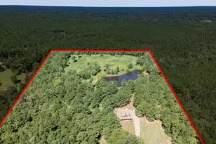 5848 Fm 1751, Bronson, TX 75930 - Photo 43