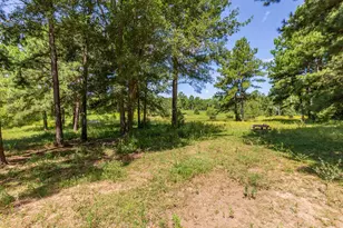 5848 Fm 1751, Bronson, TX 75930 - Photo 45