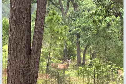 5455 N Us-77, La Grange, TX 78945 - Photo 11