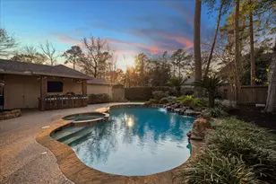 15 Amber Sky Pl, The Woodlands, TX 77381 - Photo 41