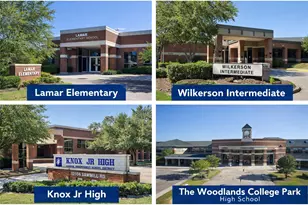 25722 Overlake Dr, Spring, TX 77380 - Photo 47