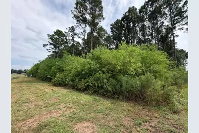 215 County Road 6614, Dayton, TX 77535 - Photo 5