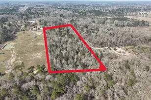 16086 Magnolia Park, Conroe, TX 77306 - Photo 9