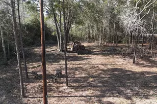 16086 Magnolia Park, Conroe, TX 77306 - Photo 7