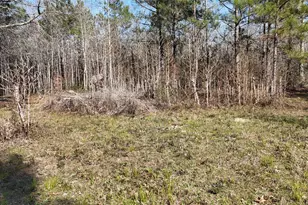 16086 Magnolia Park, Conroe, TX 77306 - Photo 11