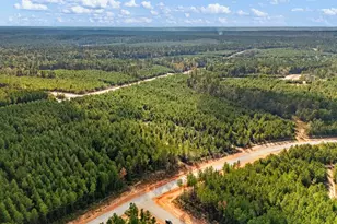 12082 and 12090 Compassion Ln, Willis, TX 77378 - Photo 11