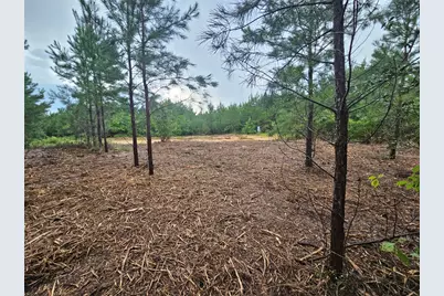 12082 and 12090 Compassion Lane, Willis, TX 77378 - Photo 9