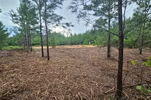 12082 and 12090 Compassion Ln, Willis, TX 77378 - Photo 9