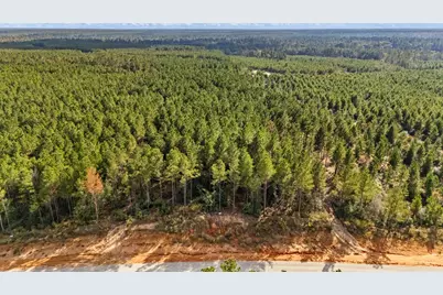 12082 and 12090 Compassion Lane, Willis, TX 77378 - Photo 3