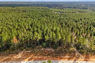 12082 and 12090 Compassion Ln, Willis, TX 77378 - Photo 3