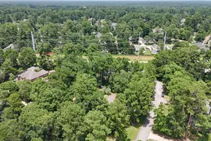 719 Somerset St, Conroe, TX 77302 - Photo 9