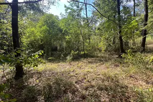 1112 Columbia River Rd, Conroe, TX 77316 - Photo 1