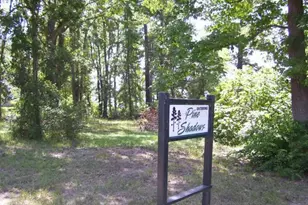 136 Inlet Dr, Livingston, TX 77351 - Photo 1