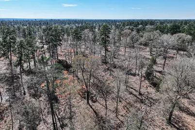 14.5 Acres Westview Drive, Huntsville, TX 77320 - Photo 15
