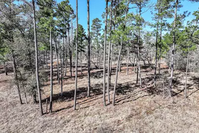 14.5 Acres Westview Drive, Huntsville, TX 77320 - Photo 33