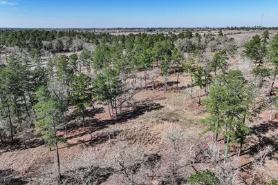 14.5 Acres Westview Drive, Huntsville, TX 77320 - Photo 21