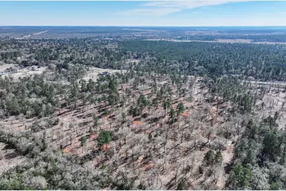 14.5 Acres Westview Drive, Huntsville, TX 77320 - Photo 11