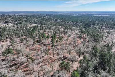 14.5 Acres Westview Drive, Huntsville, TX 77320 - Photo 13