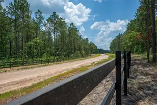 Tbd 18 B Timberland Branch Dr, Woodville, TX 75979 - Photo 1